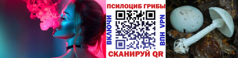 купить закладку  Ульяновск  Галлюциногенные грибы мицелий 